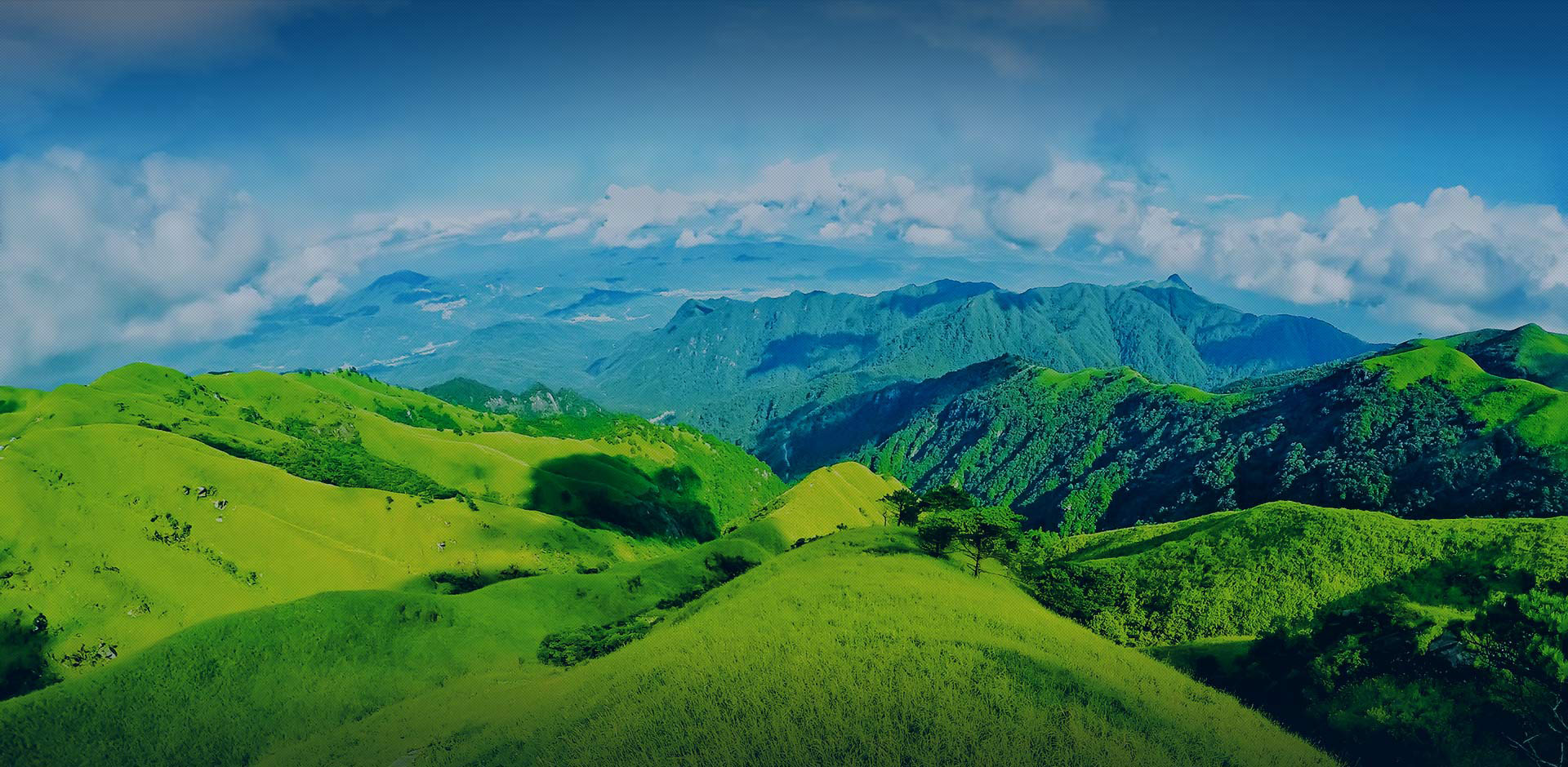 煙氣在線(xiàn)監(jiān)測(cè)設(shè)備-煙氣在線(xiàn)監(jiān)測(cè)分析儀-煙塵煙氣測(cè)試儀-cems煙氣在線(xiàn)監(jiān)測(cè)儀