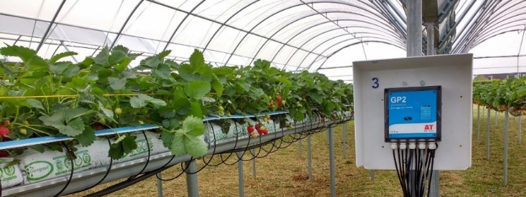 藍(lán)景科技|SM150T和ML3土壤傳感器，幫助WET中心打破產(chǎn)量紀(jì)錄