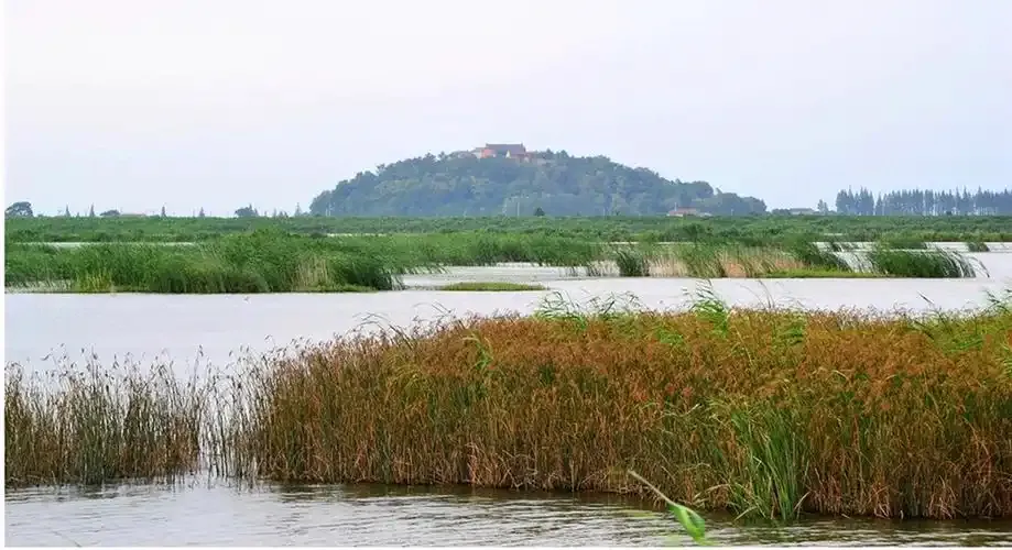 藍(lán)景科技賦能濕地生態(tài)-江蘇常州長(zhǎng)蕩湖國(guó)家濕地公園